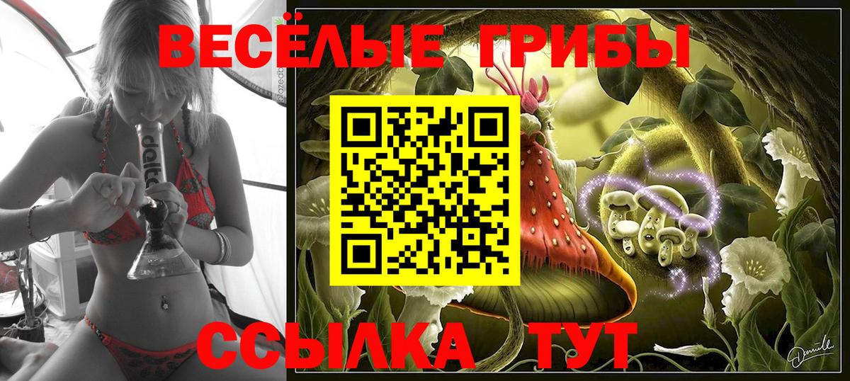 Псилоцибиновые грибы Psilocybine cubensis Ирбит