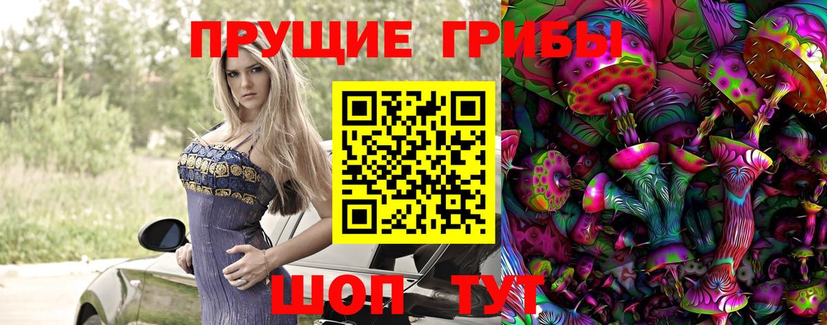 Псилоцибиновые грибы MAGIC MUSHROOMS  Вход с VPN  Ирбит  где найти наркотики  Псилоцибиновые грибы мухоморы 